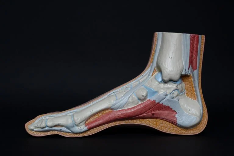 a close-up of a shoe