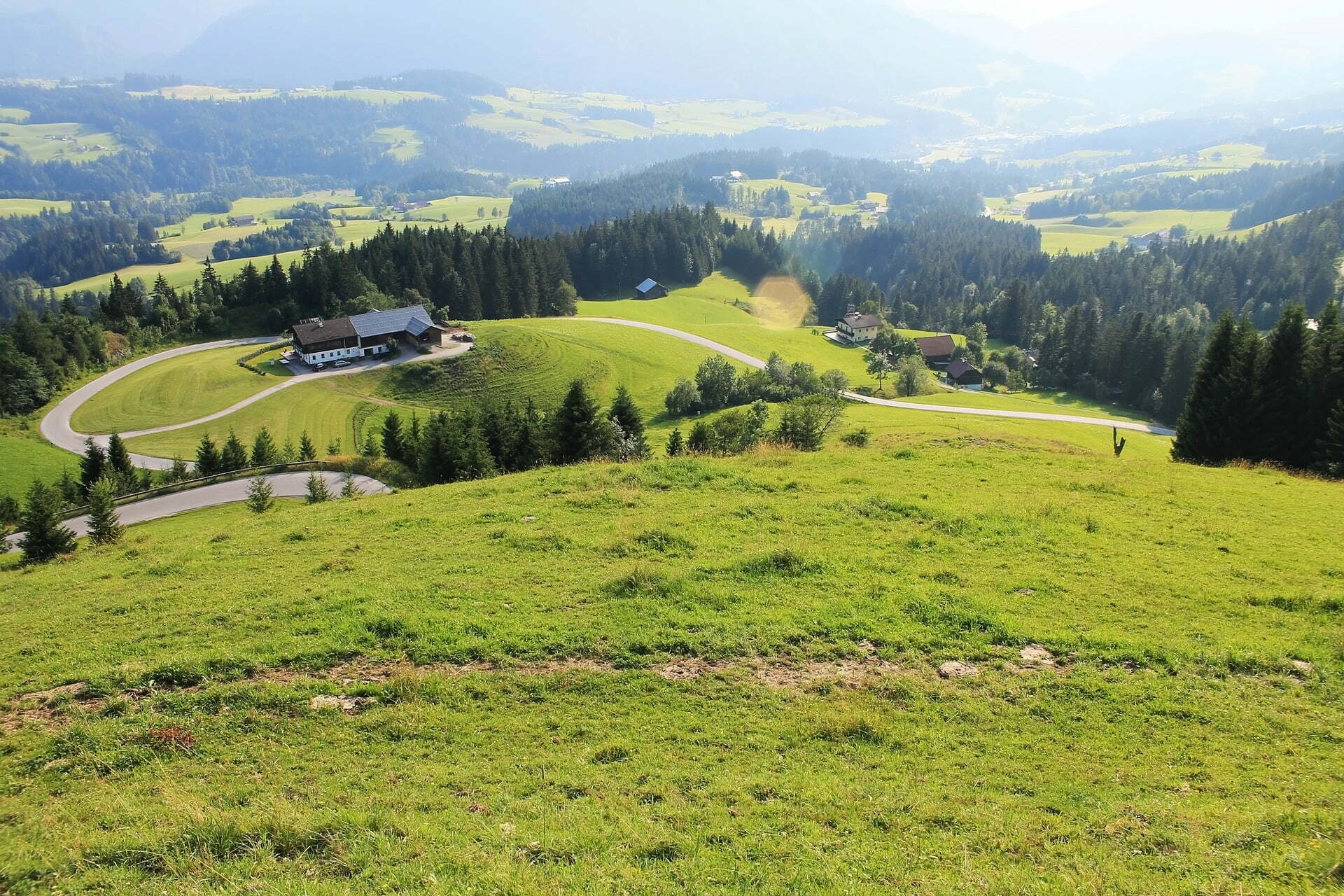 a grassy field with trees and buildings in the background