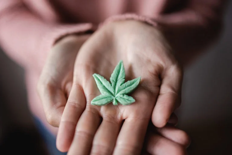 a person holding a small leaf