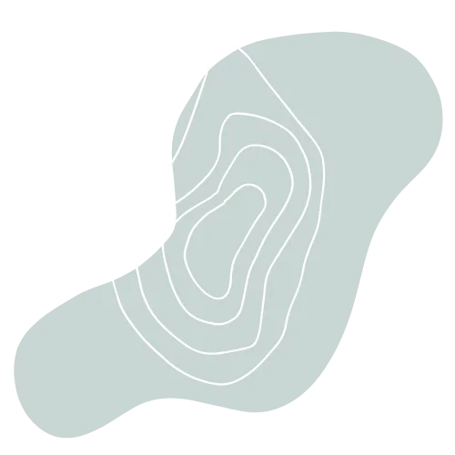 a white circle with a black background